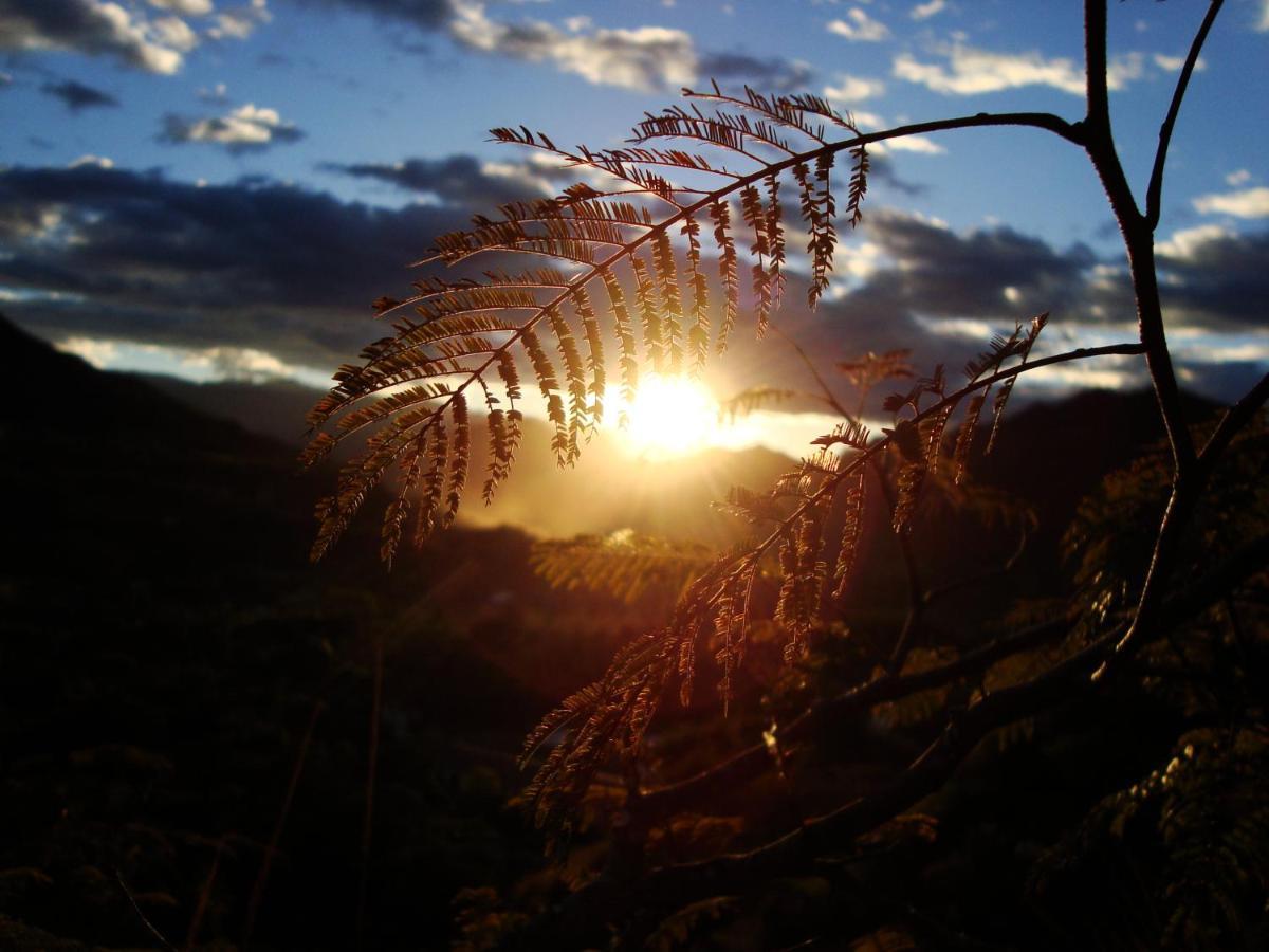 Rumi Wilco Ecolodge & Nature Reserve-Cabanas & Camping Vilcabamba Exterior photo